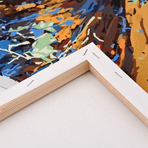 Shop Paint By Numbers With Frame For Adult online